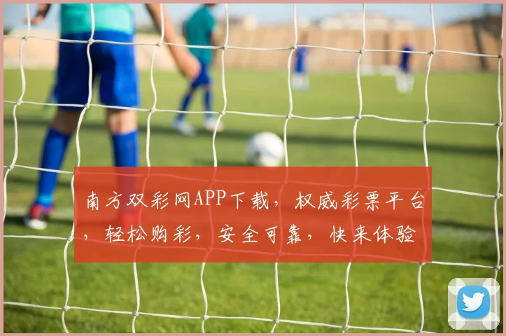 南方双彩网APP下载，权威彩票平台，轻松购彩，安全可靠，快来体验