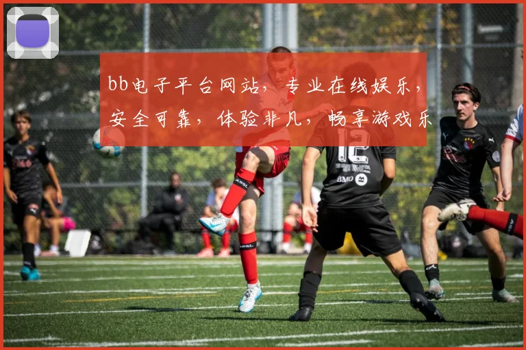 bb电子平台网站，专业在线娱乐，安全可靠，体验非凡，畅享游戏乐趣，尽在掌握