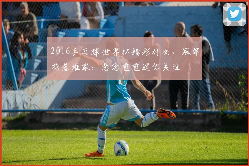 2016乒乓球世界杯精彩对决，冠军花落谁家，悬念重重逗你关注