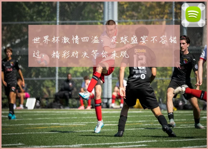 世界杯激情四溢，足球盛宴不容错过，精彩对决等你来观